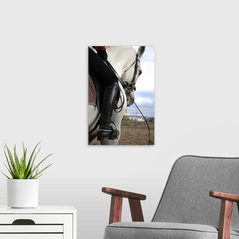 A modern room featuring Person on horseback with foot in stirrup
