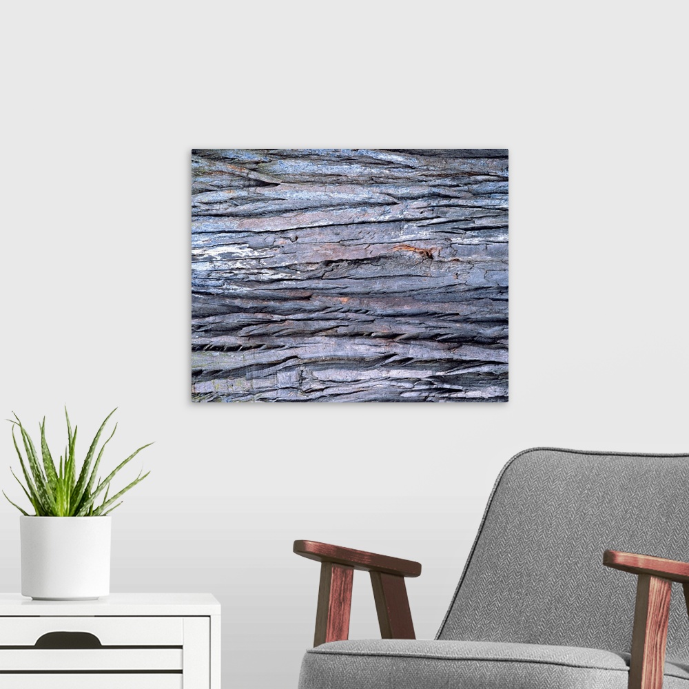 A modern room featuring Photography of wood grain, Close Up