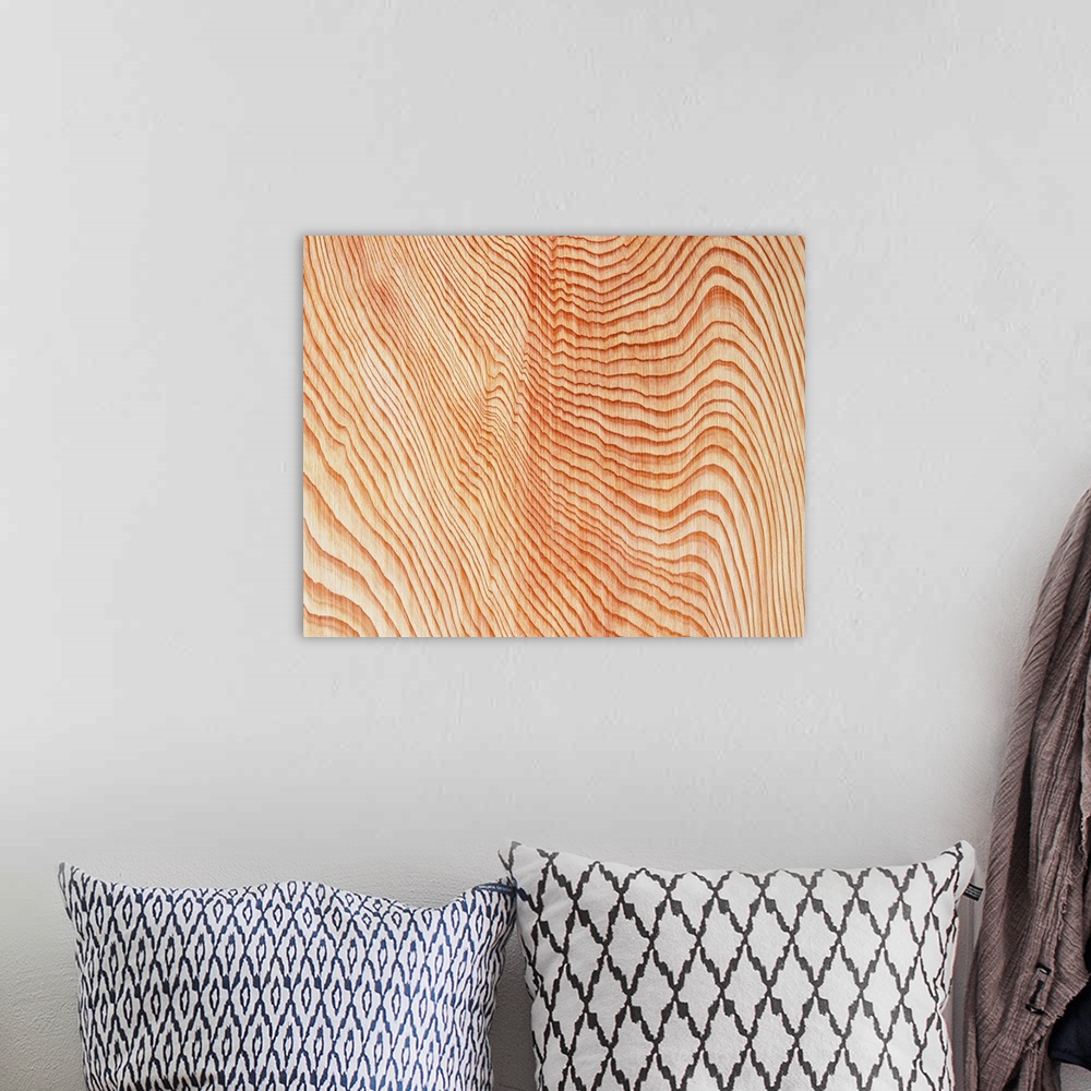 A bohemian room featuring Photography of zelkova wood grain, Close Up