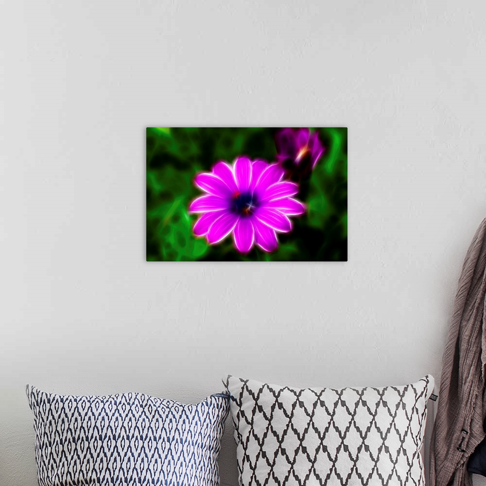 A bohemian room featuring Picture of flowers, fractalize, fractal image