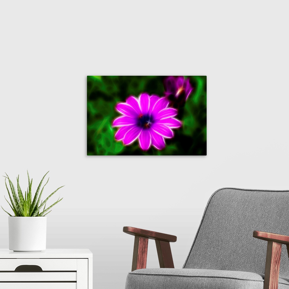 A modern room featuring Picture of flowers, fractalize, fractal image