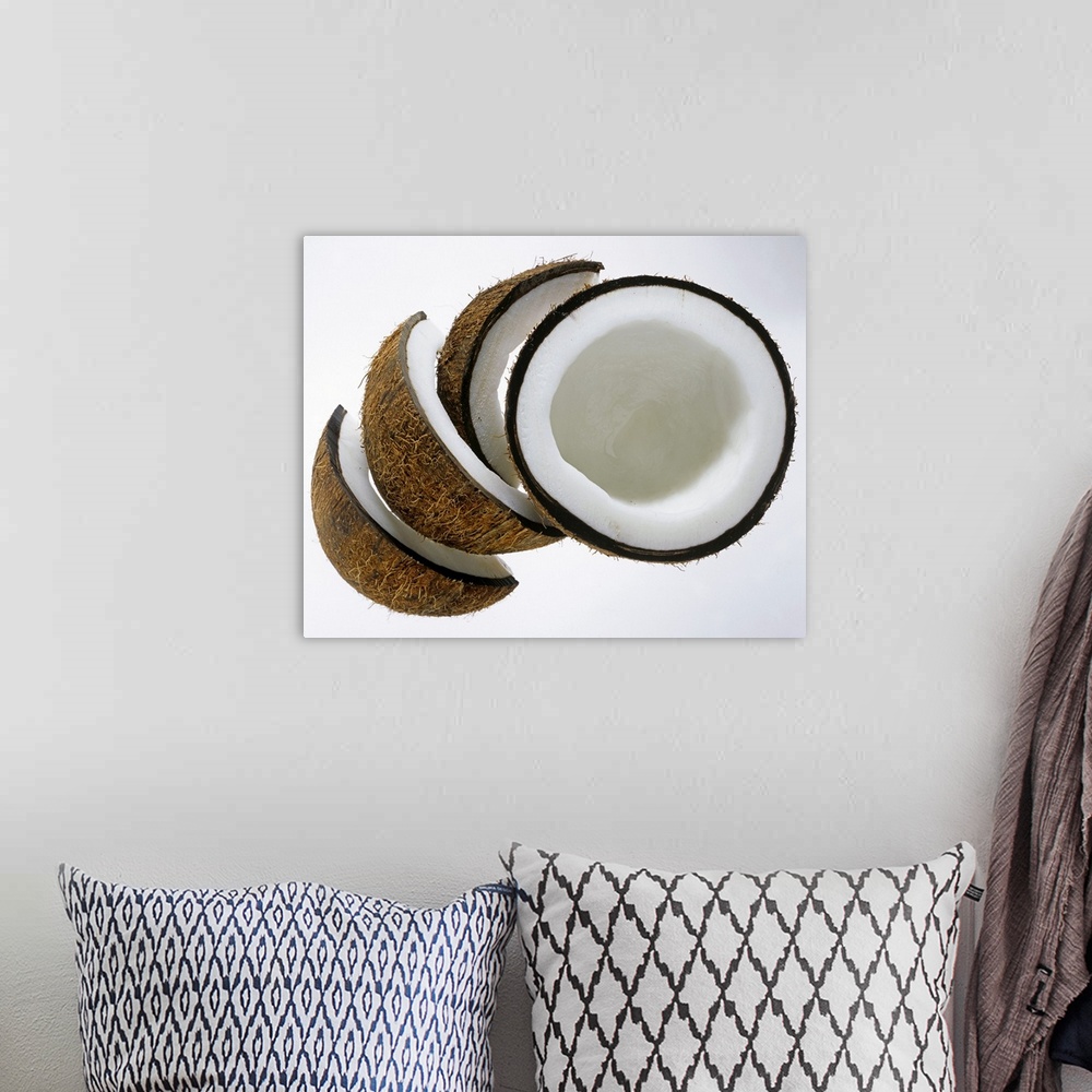 A bohemian room featuring Pieces of coconut against white background, Close-Up