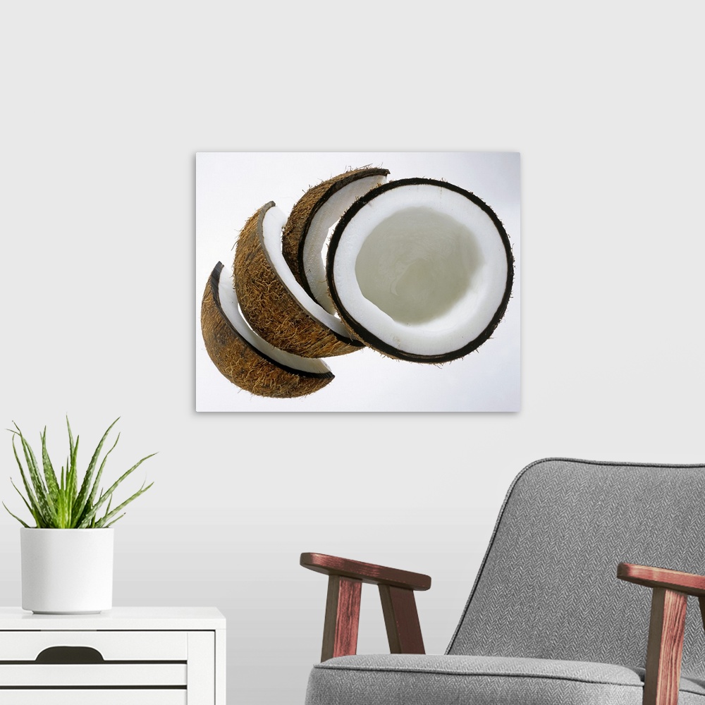 A modern room featuring Pieces of coconut against white background, Close-Up