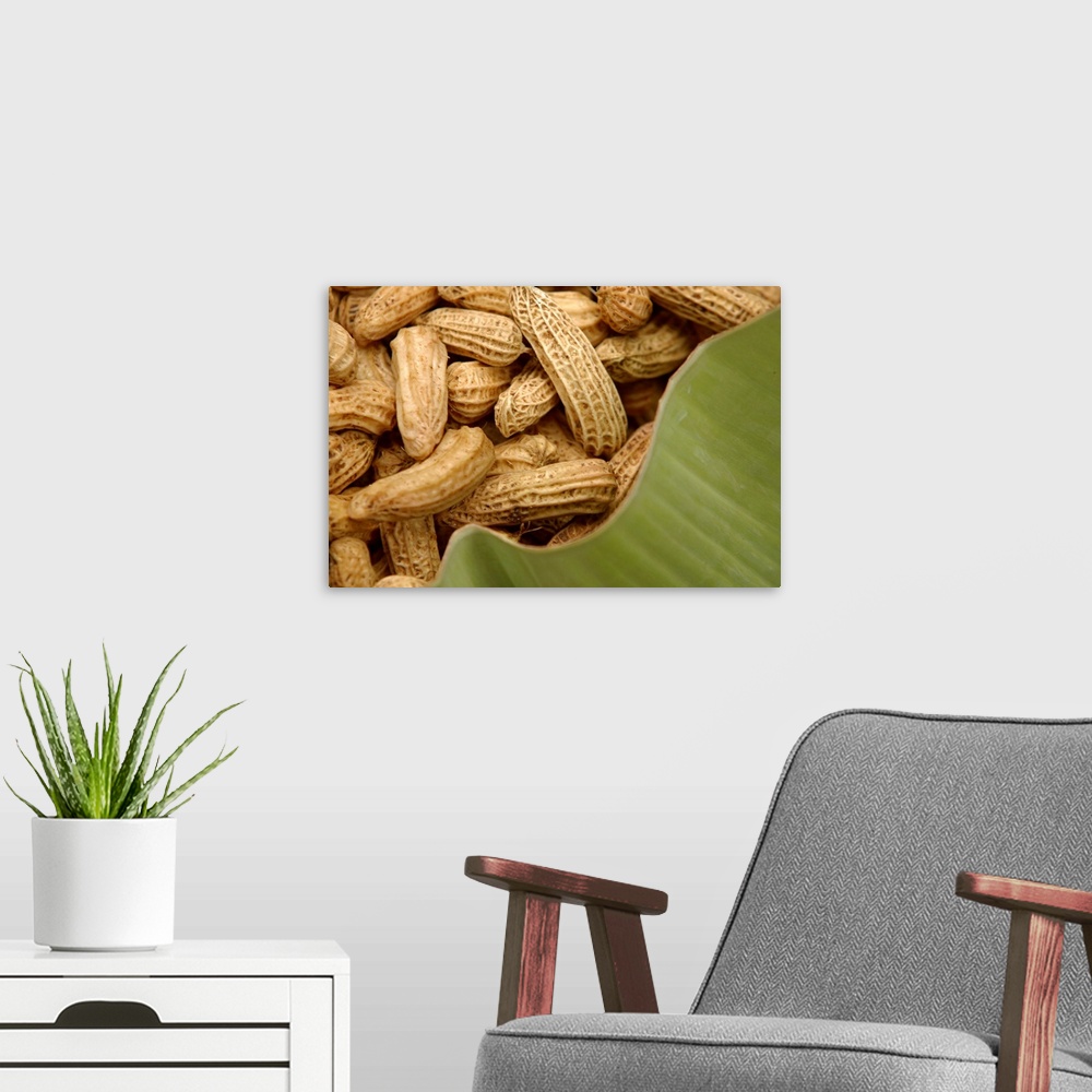 A modern room featuring Pile of peanuts