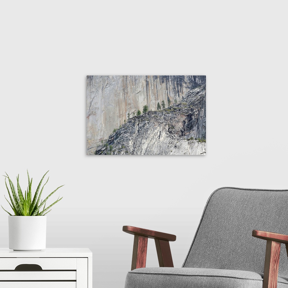 A modern room featuring Pine trees on a granite cliff in Yosemite Valley