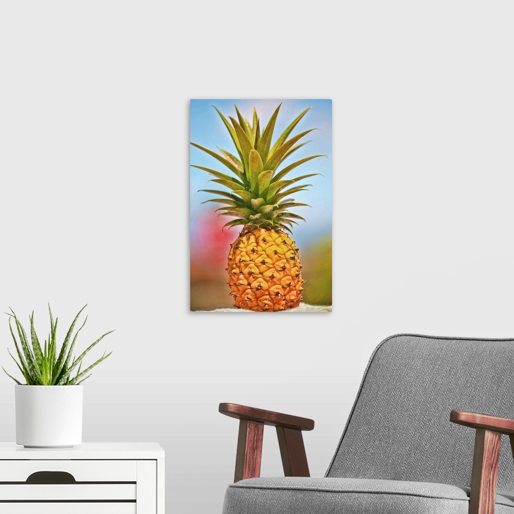 A modern room featuring Pineapple grown on Maui, Hawaii