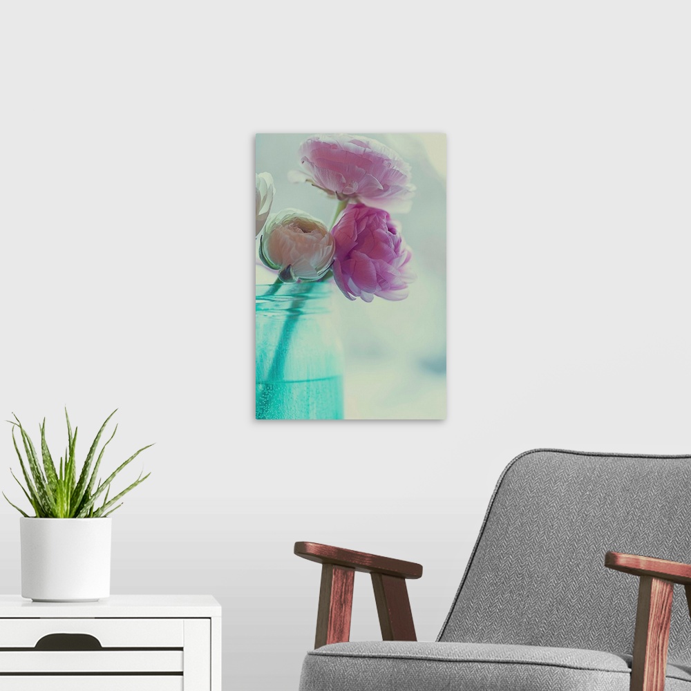 A modern room featuring Pink and white ranunculus flowers in aqua colored vase.