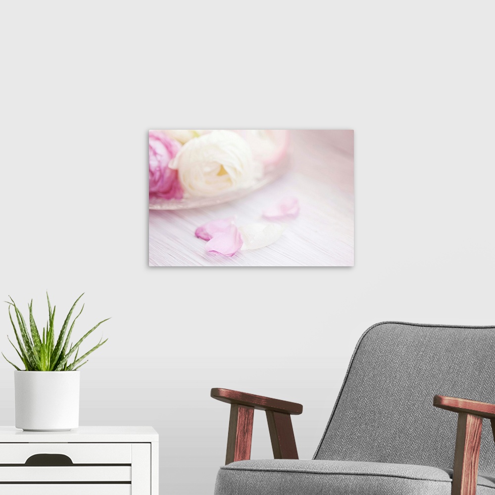 A modern room featuring Pink and white ranunculus flowers in glass plate with fallen petals on side.