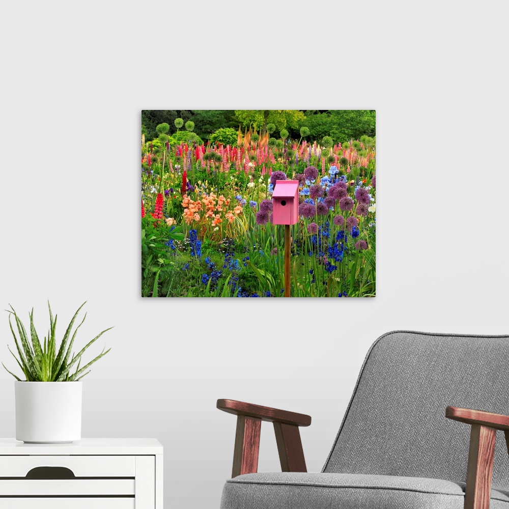 A modern room featuring Pink chair framed with iris, lupine, columbine and other flowers in flower garden in Willamette V...