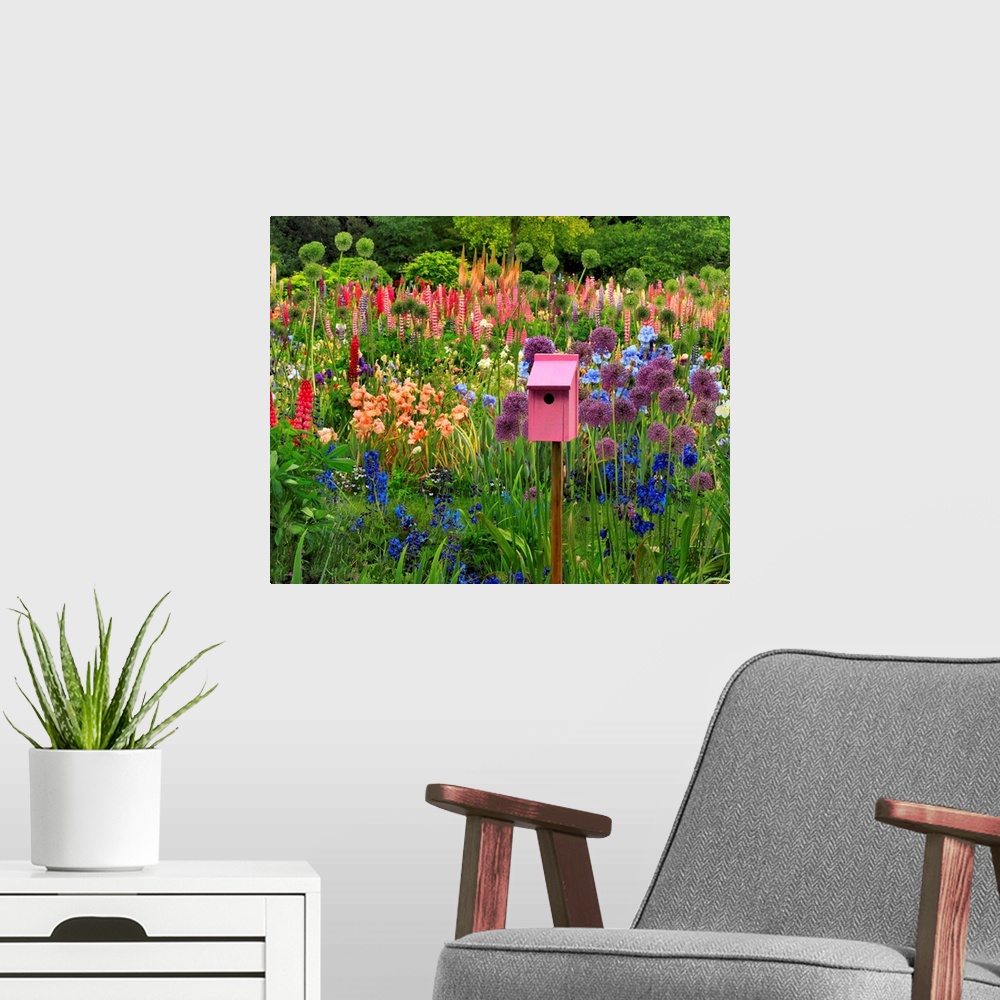 A modern room featuring Pink chair framed with iris, lupine, columbine and other flowers in flower garden in Willamette V...