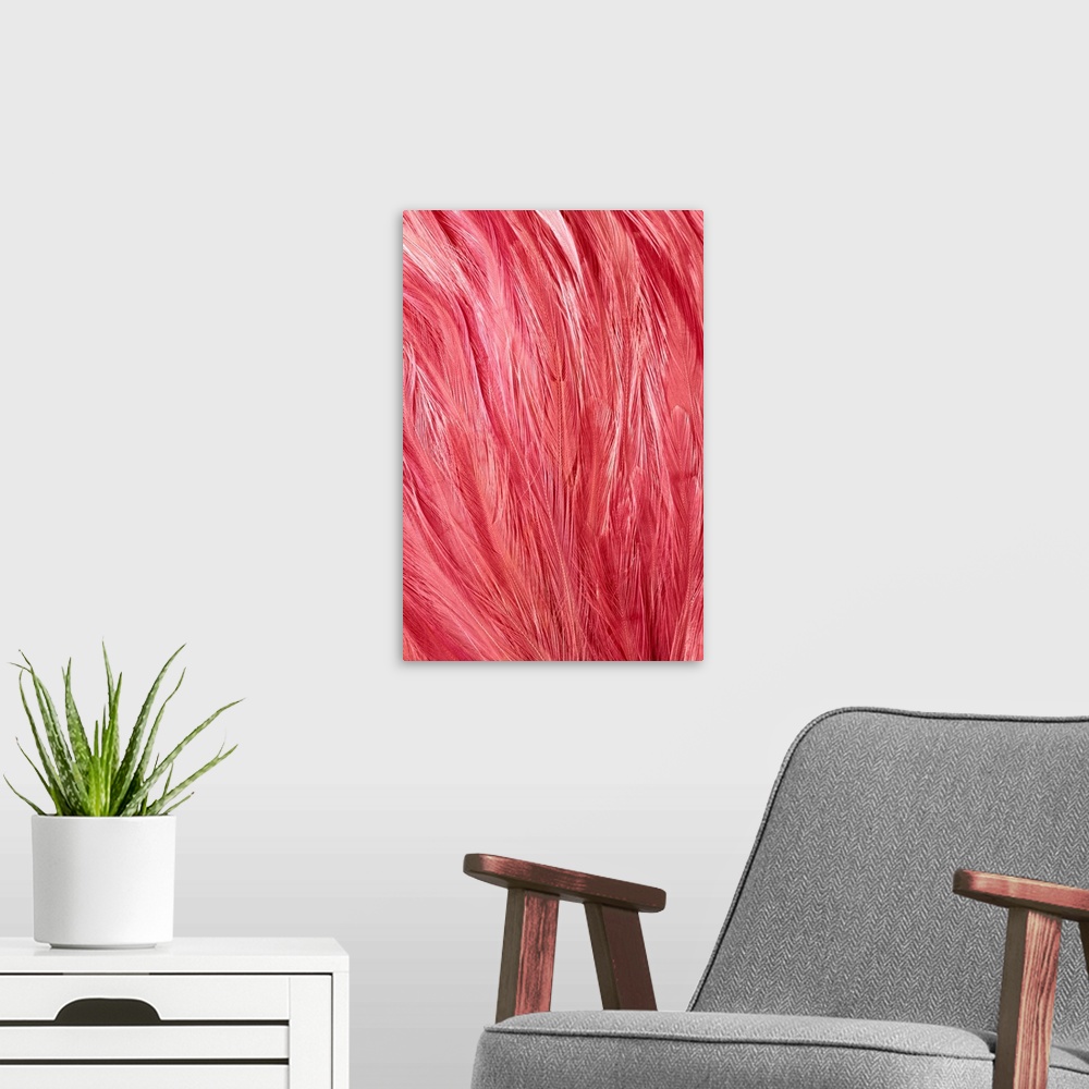 A modern room featuring Pink Feathers