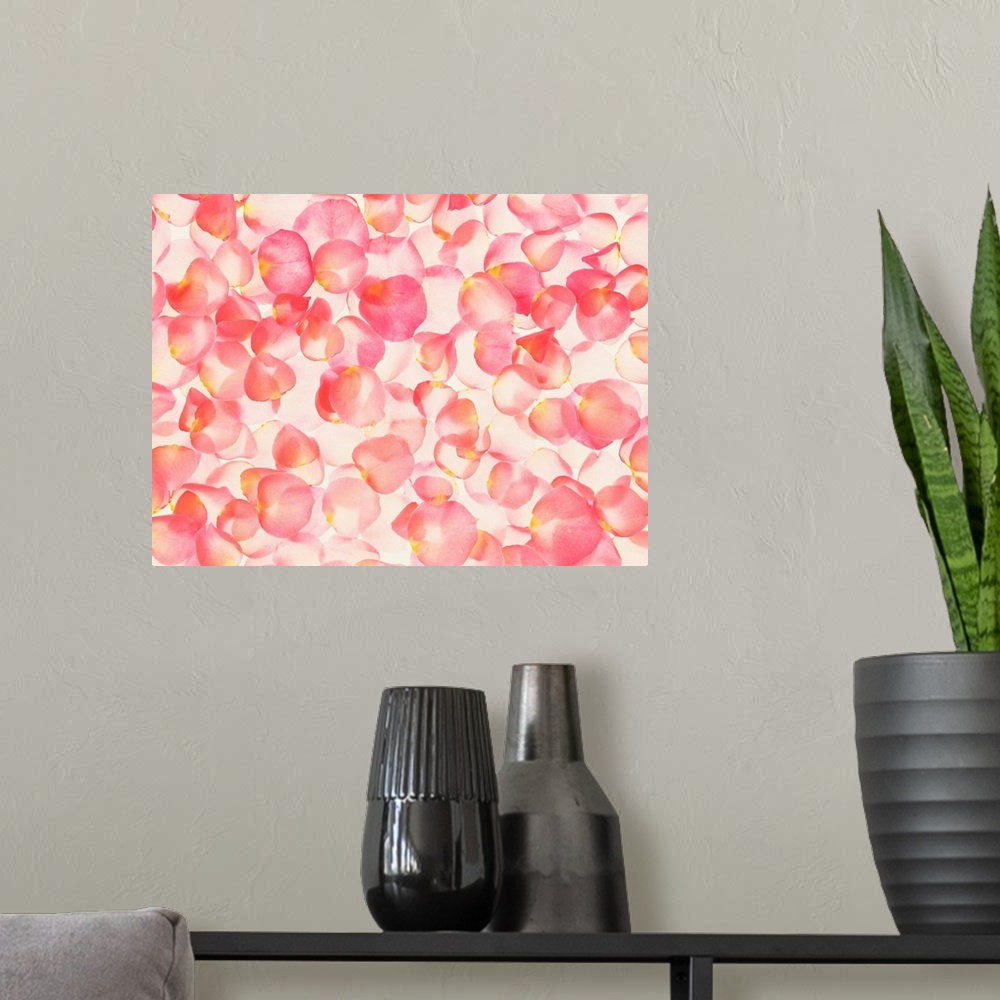 A modern room featuring Pink flower petals
