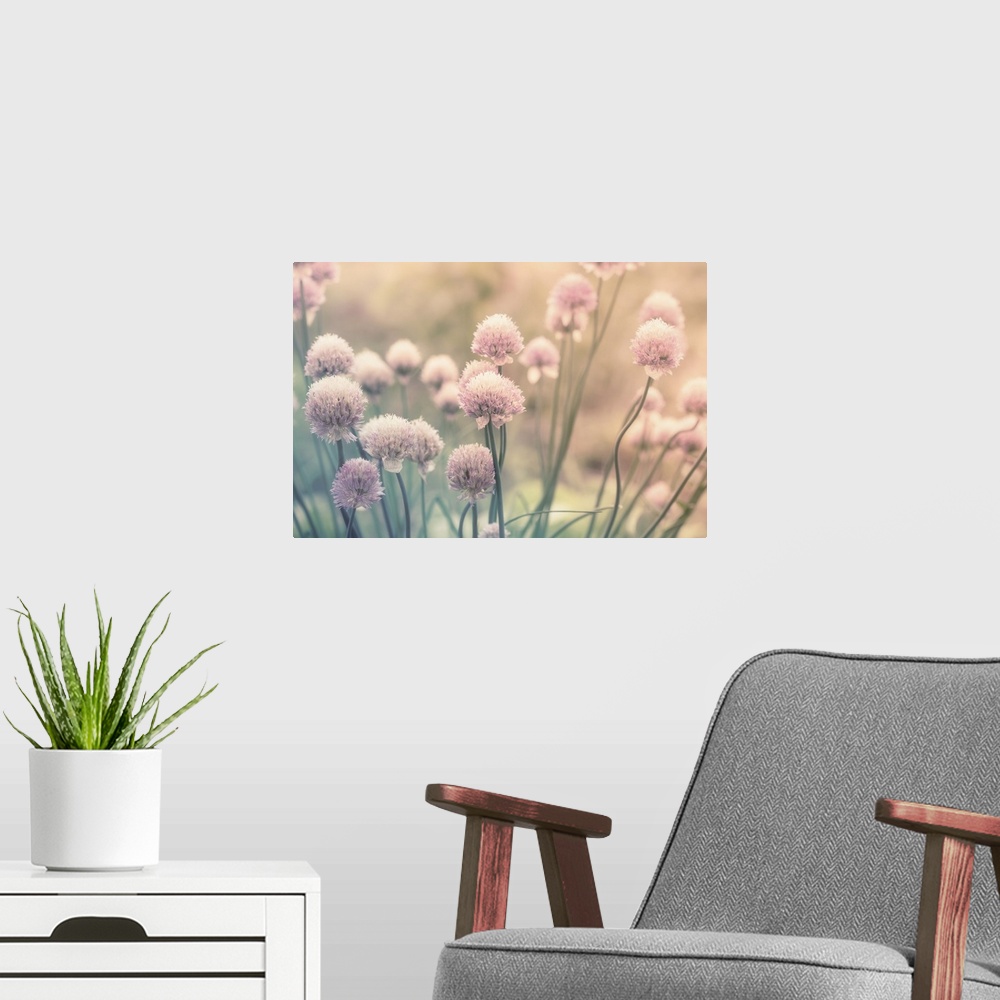 A modern room featuring Pink Flowers On The Meadow