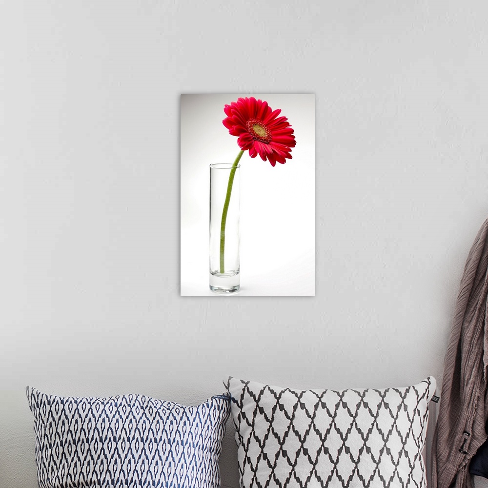 A bohemian room featuring Pink gerbera daisy in a glass vase.
