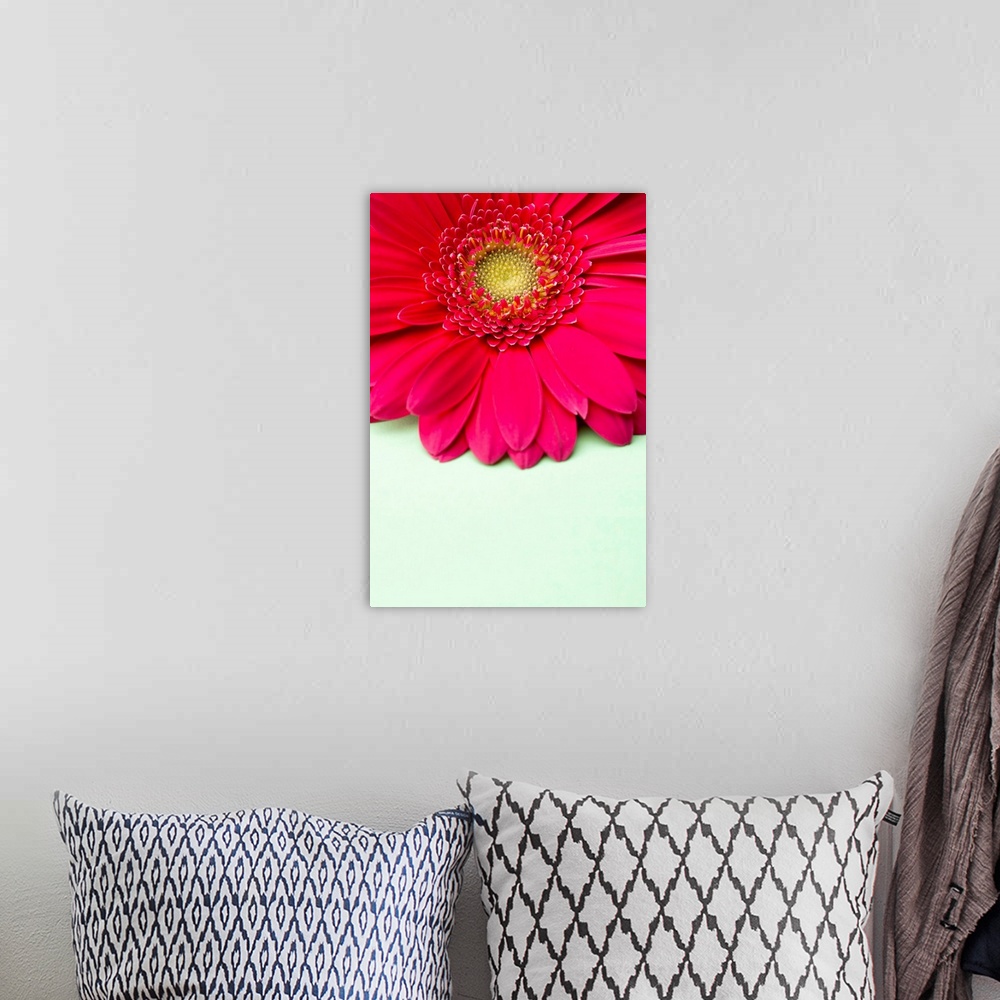 A bohemian room featuring Pink gerbera daisy on light green background.