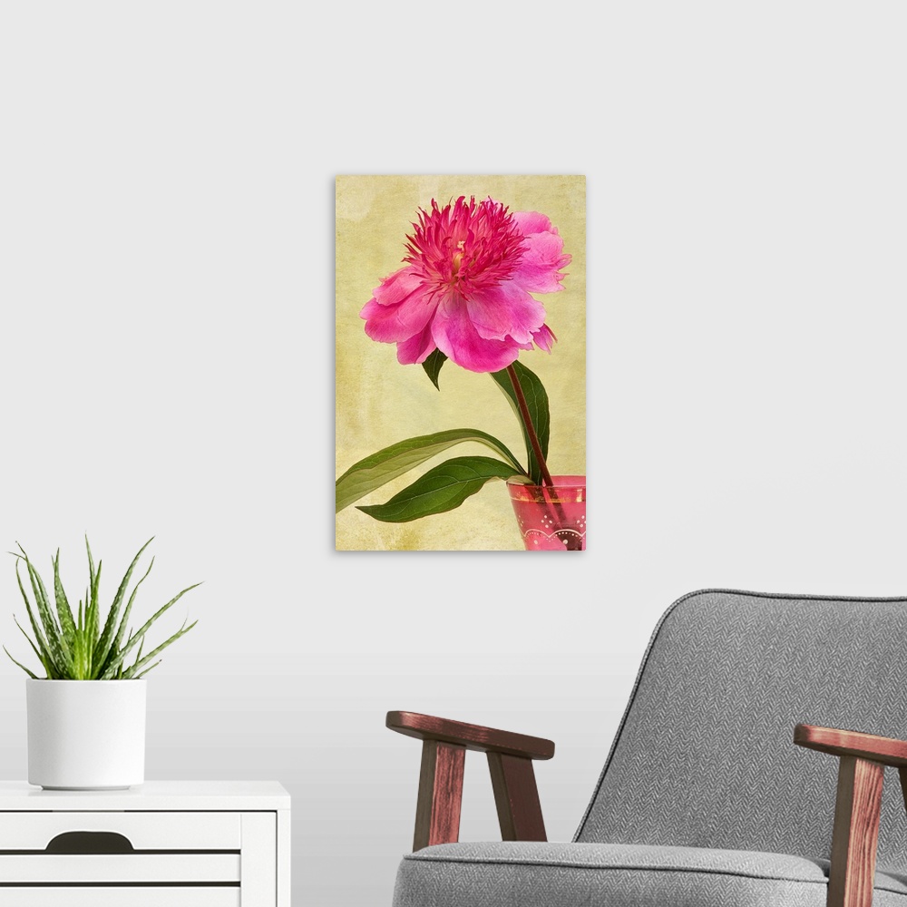 A modern room featuring Pink Peony flower in an antique, pink, glass vase.