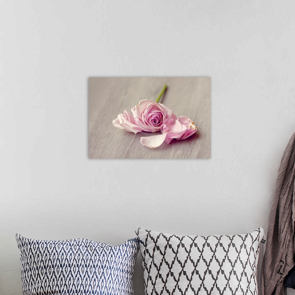 A bohemian room featuring Pink rose falling apart on wooden table.