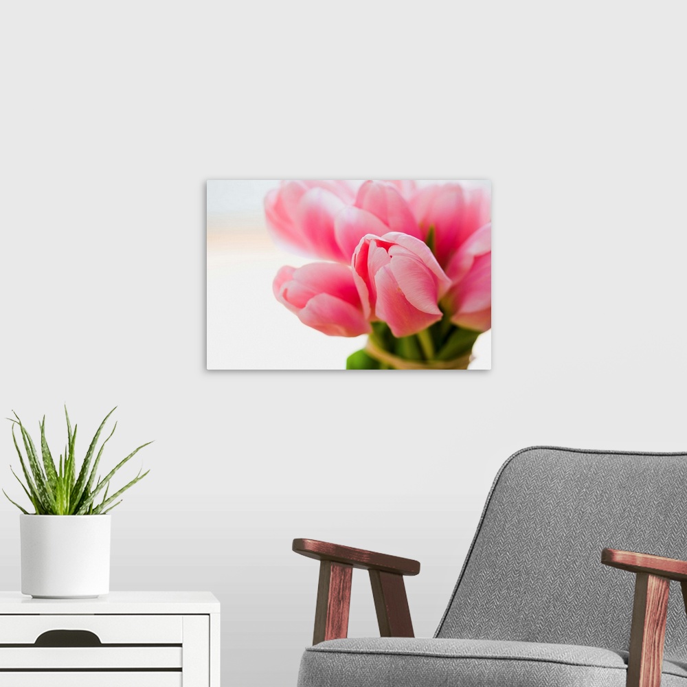 A modern room featuring Pink Tulips