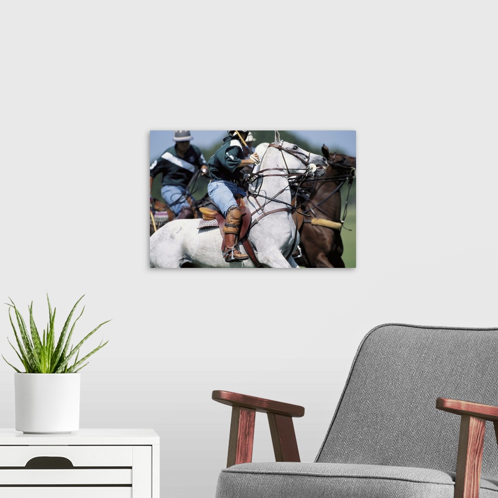 A modern room featuring Polo Players