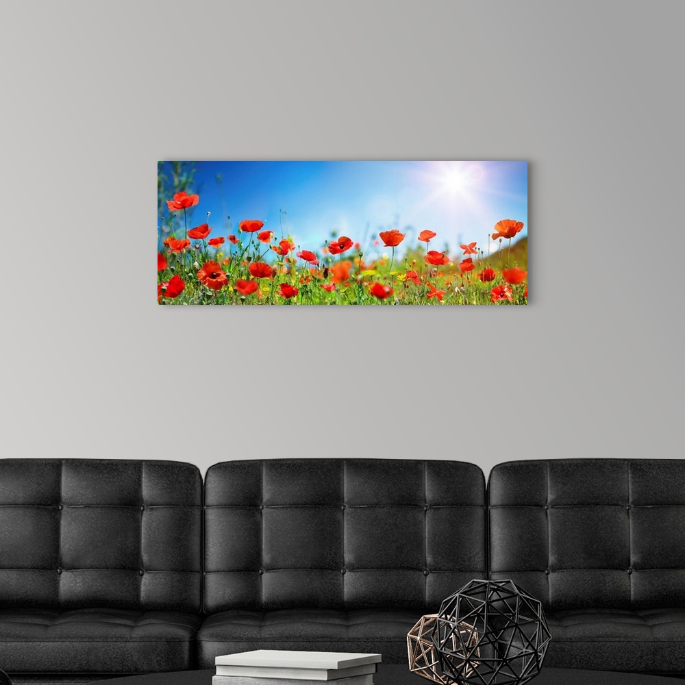 A modern room featuring Poppies in a meadow with sunlit blue sky.