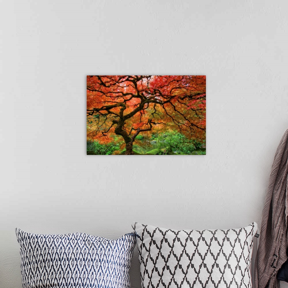 A bohemian room featuring Large wall art of a landscape photograph with soft focus of an old tree with twisting branches in...