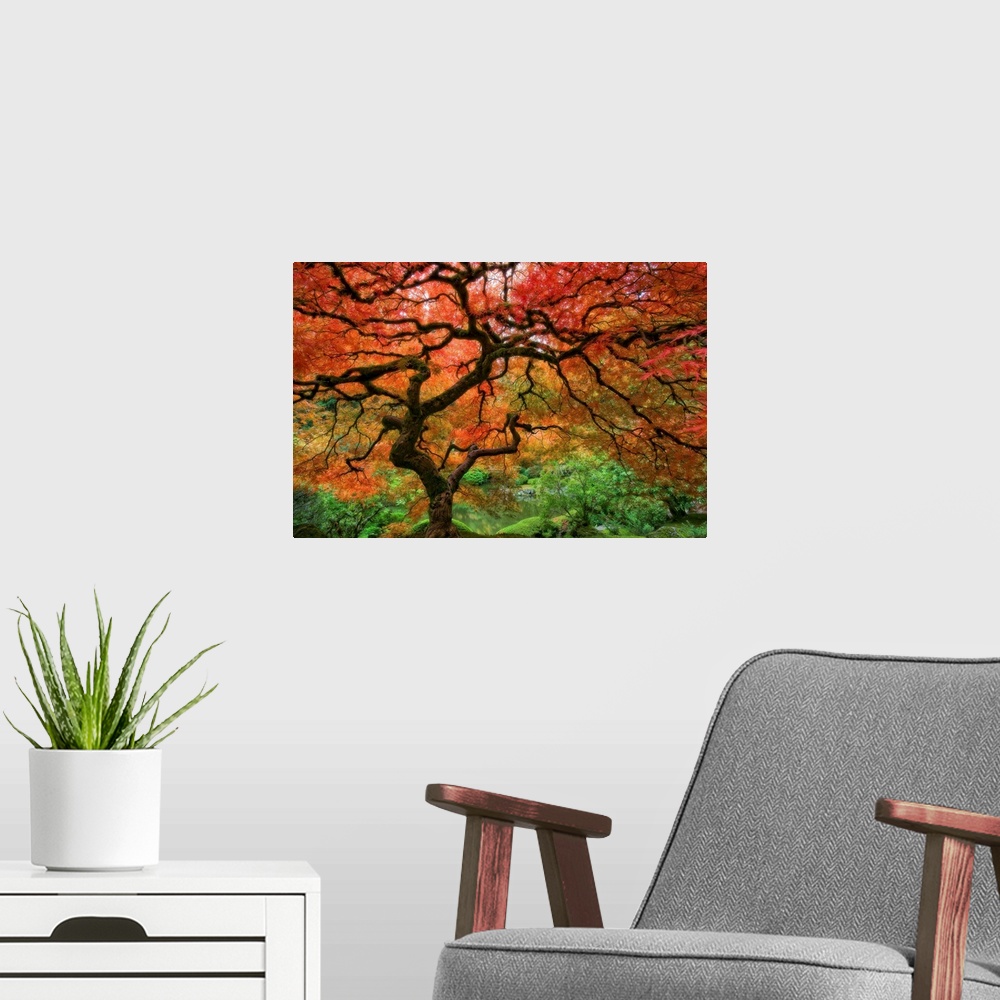 A modern room featuring Large wall art of a landscape photograph with soft focus of an old tree with twisting branches in...