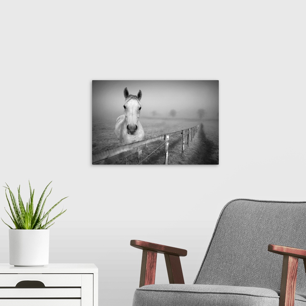 A modern room featuring Landscape photograph of a horse standing behind a fence as he looks at the camera, surrounded by ...