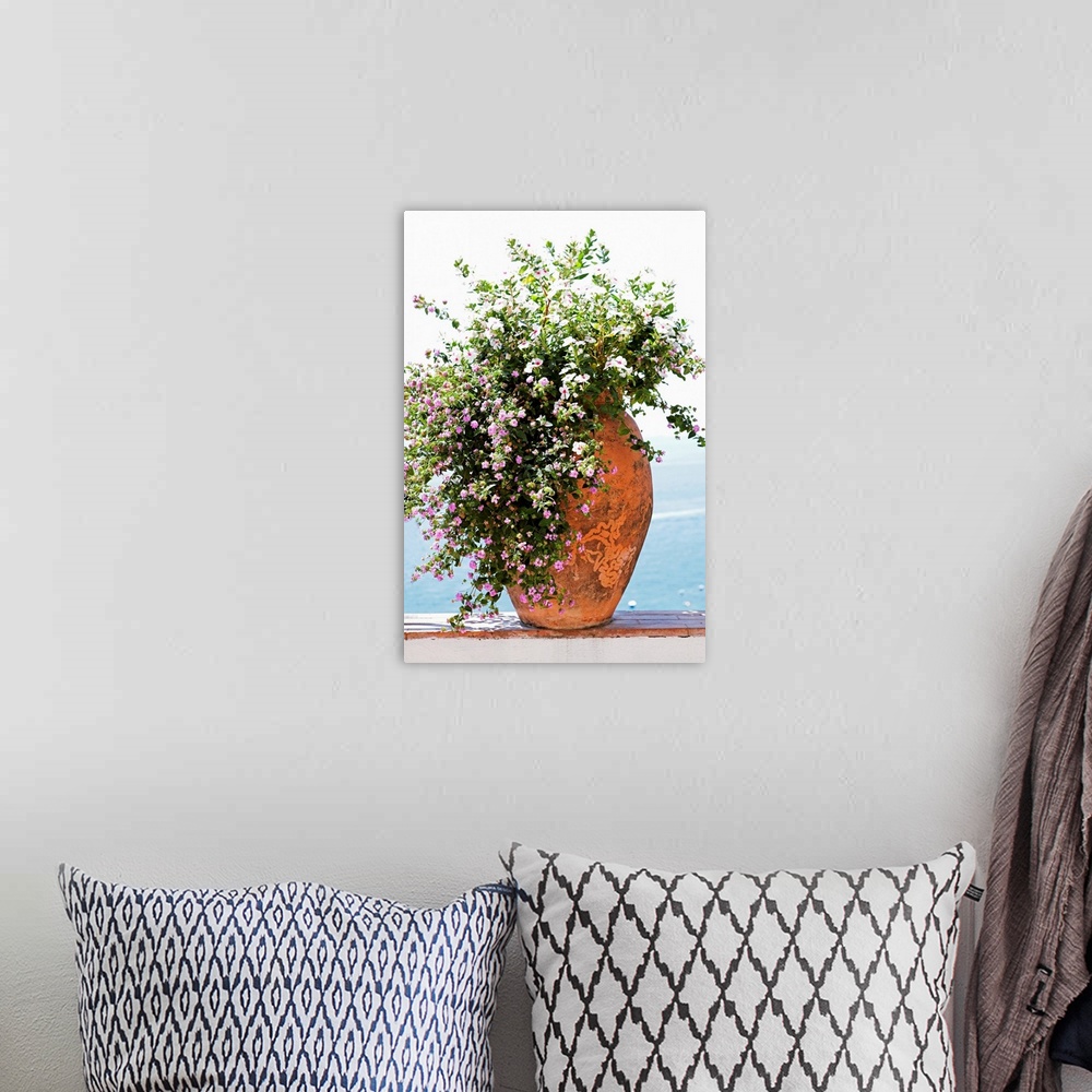 A bohemian room featuring Pot plant on surrounding wall, close-up