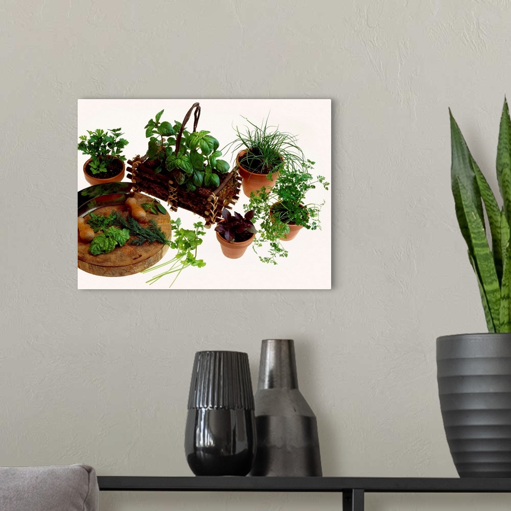 A modern room featuring Potted herbs