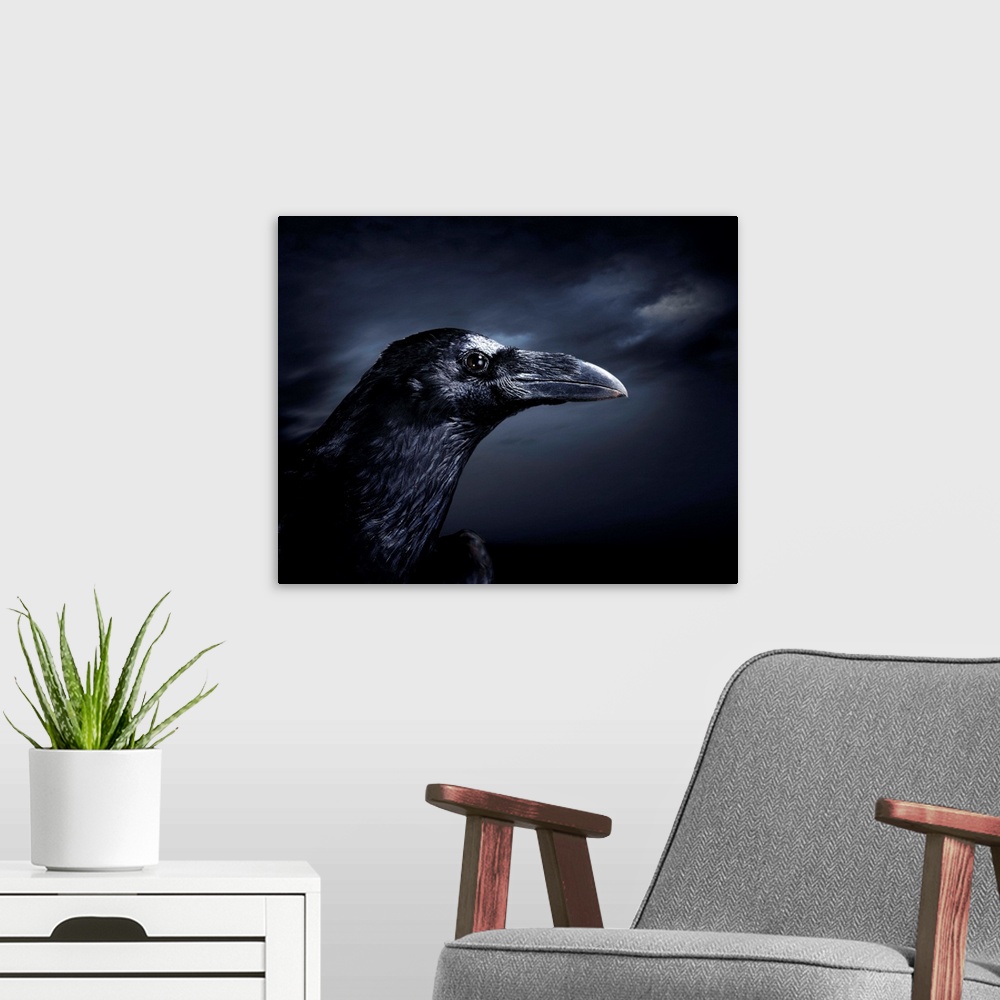 A modern room featuring Profile Of A Crow