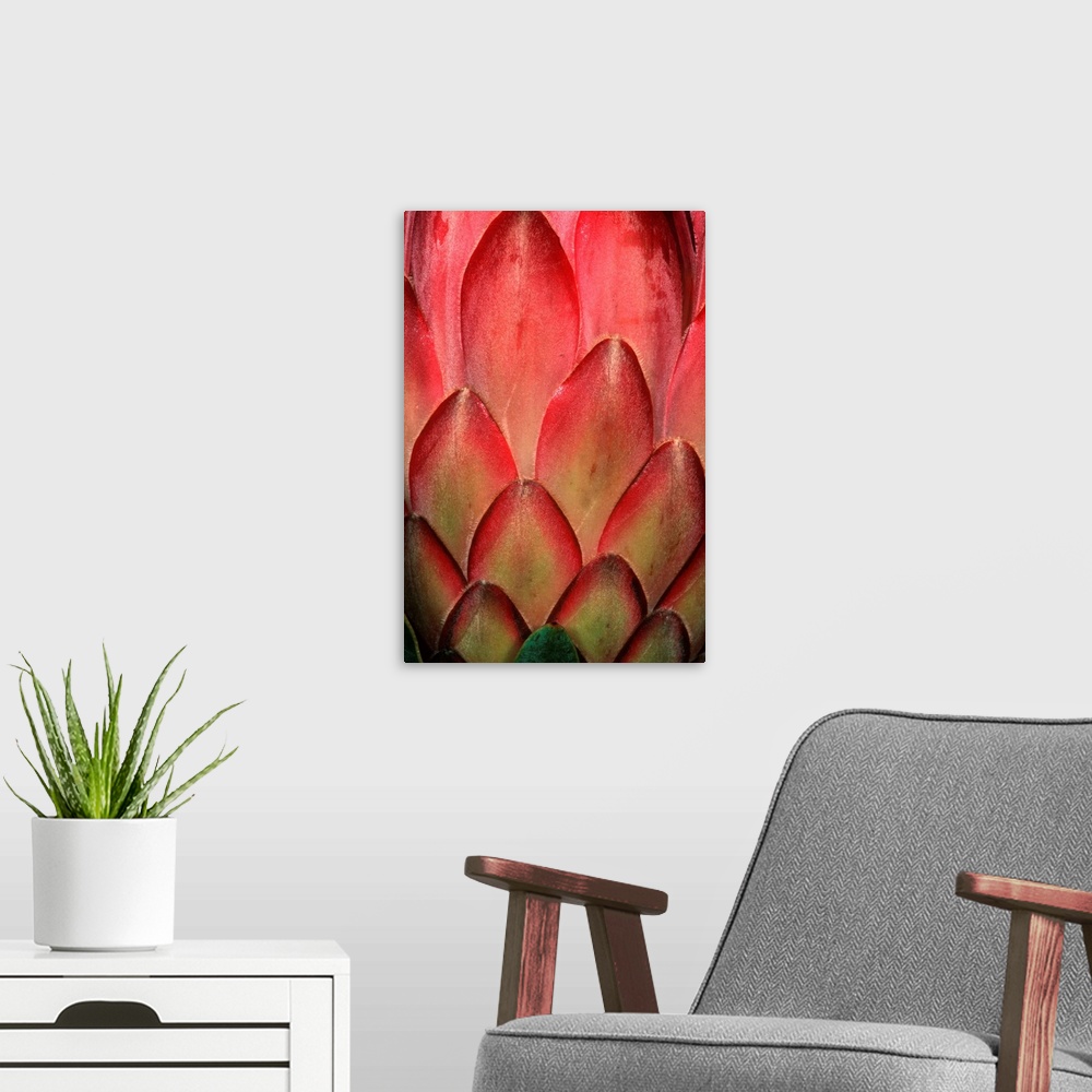A modern room featuring Protea Flower Petals