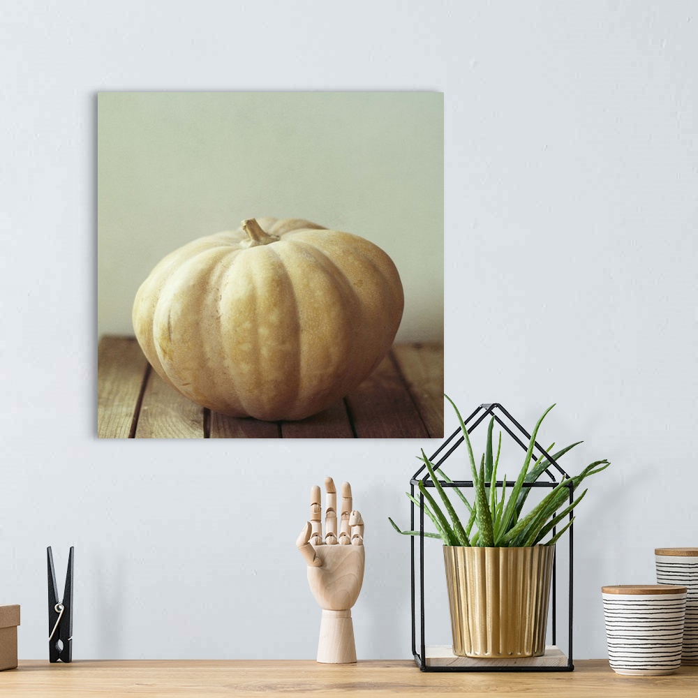 A bohemian room featuring Pumpkin on wooden table.
