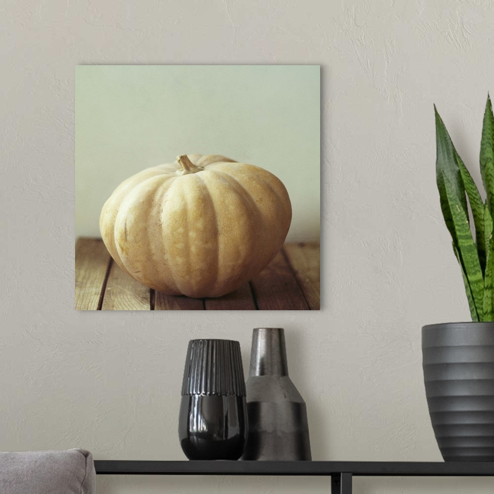 A modern room featuring Pumpkin on wooden table.