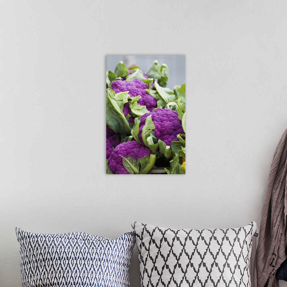 A bohemian room featuring Purple cauliflower