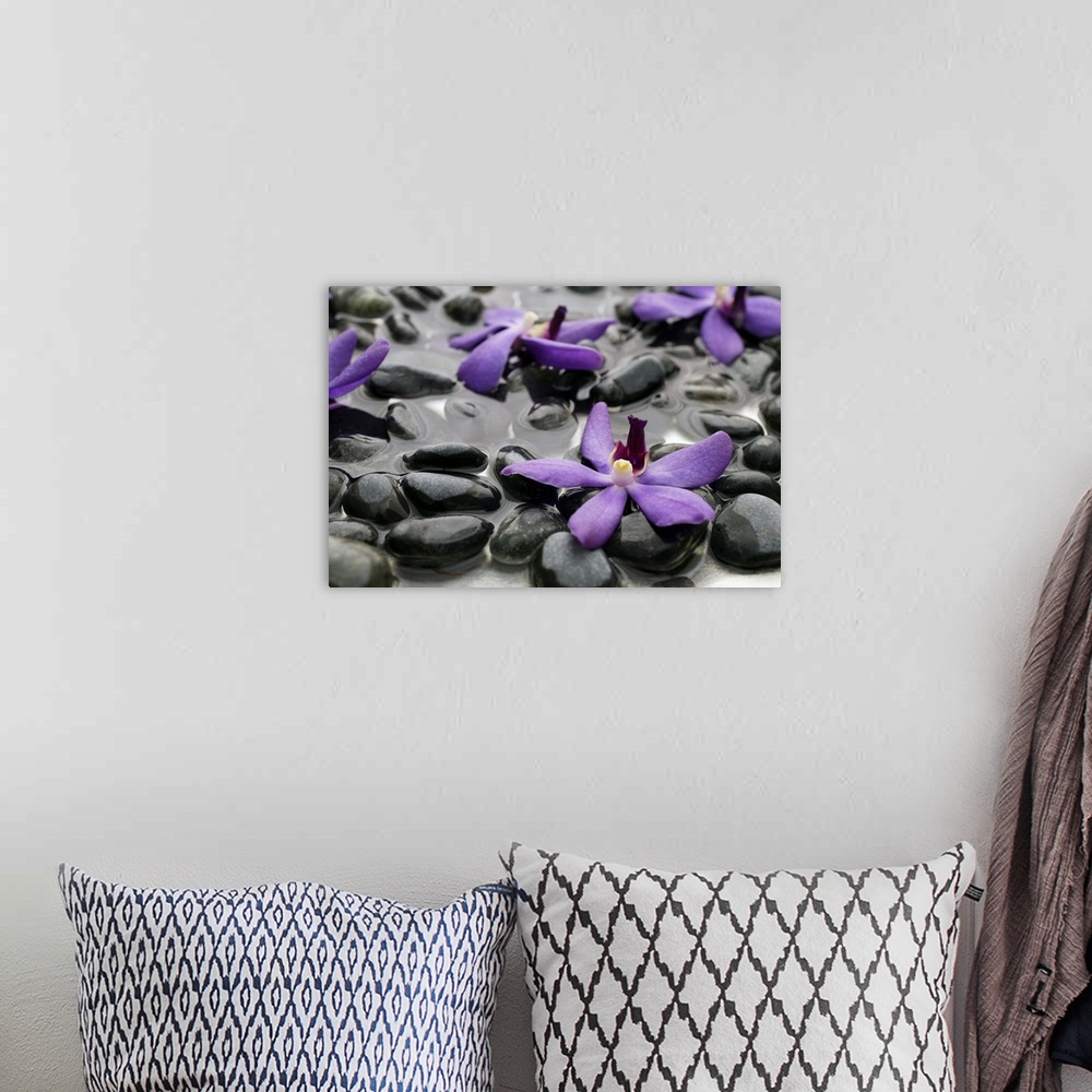 A bohemian room featuring Purple orchids on wet rocks