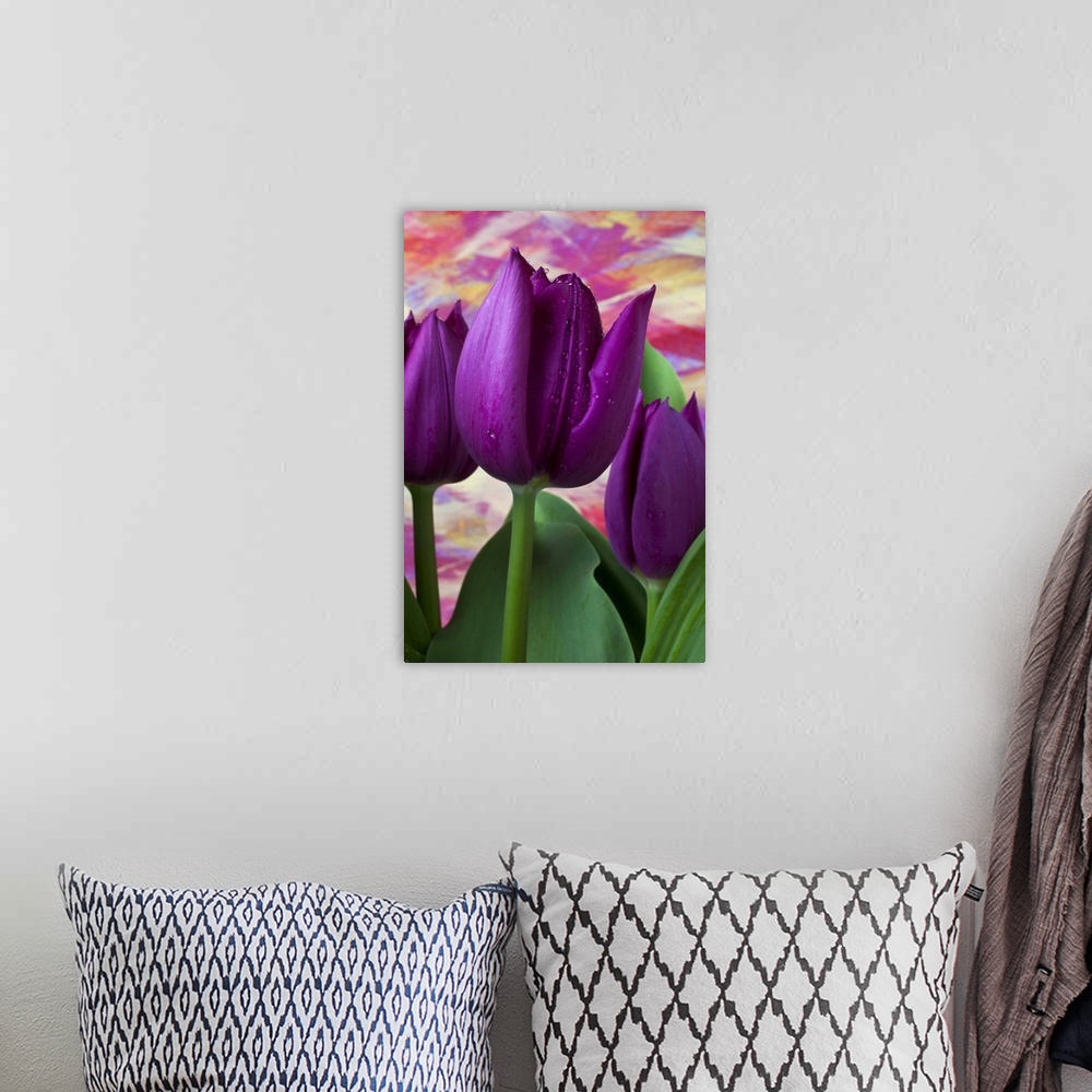 A bohemian room featuring Purple tulips