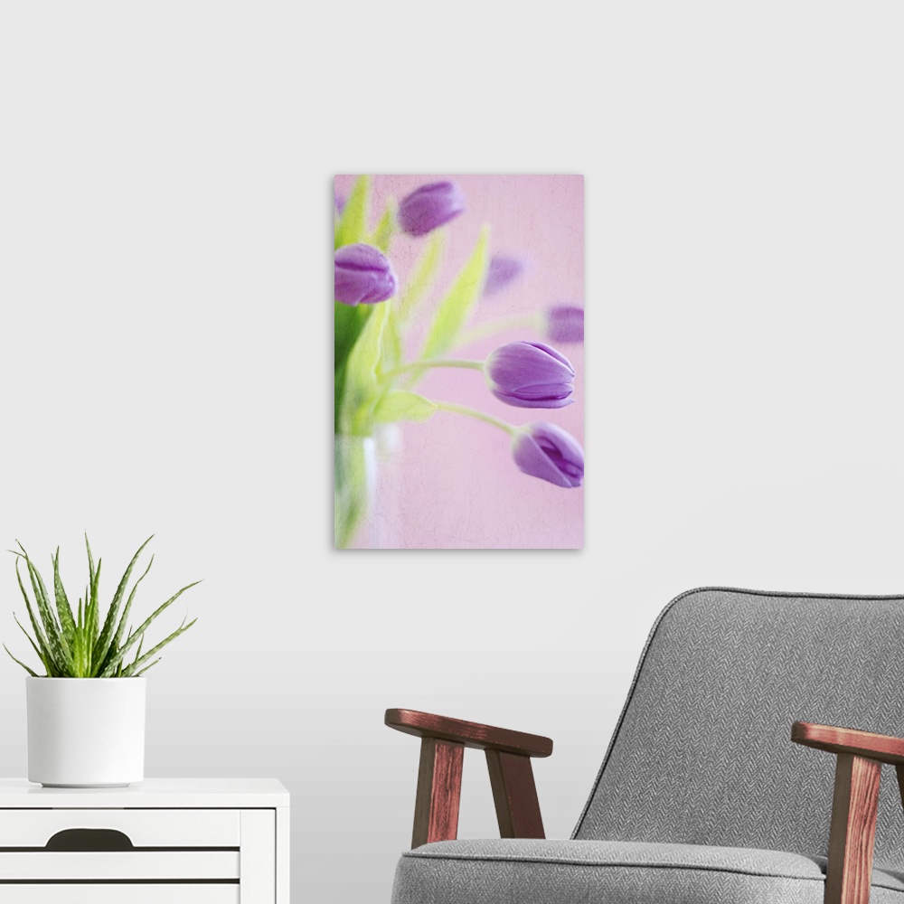 A modern room featuring Purple tulips in vase.