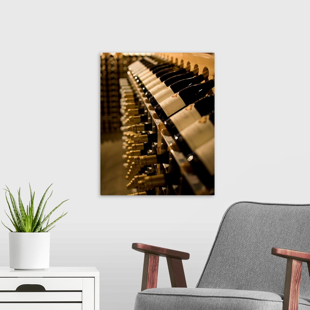 A modern room featuring Racks of wine bottles