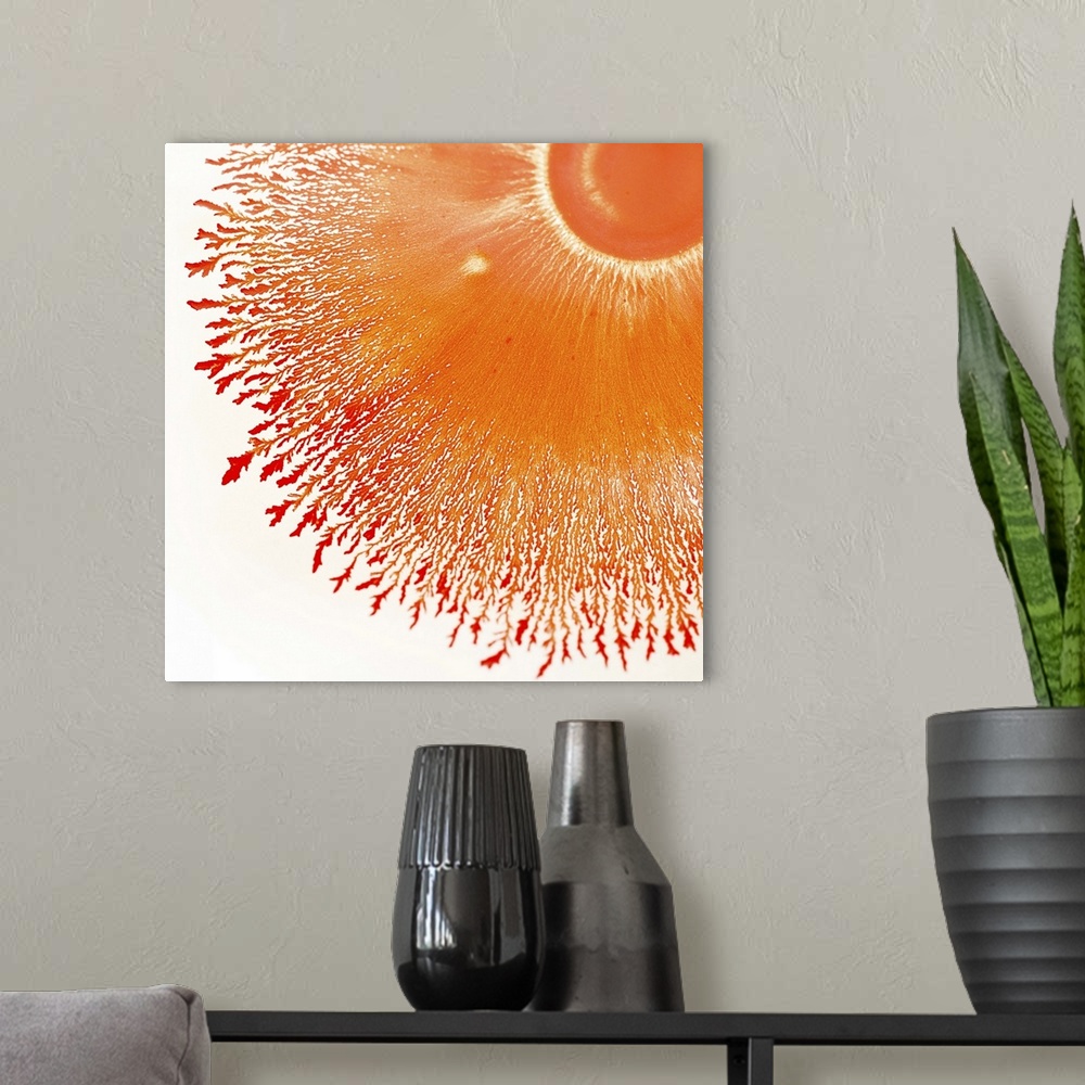 A modern room featuring Radial pattern in orange on white background.