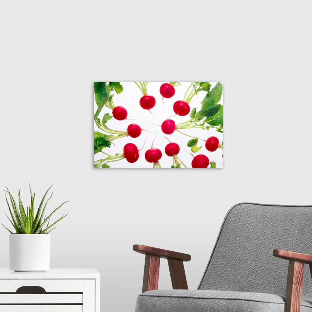 A modern room featuring Radishes