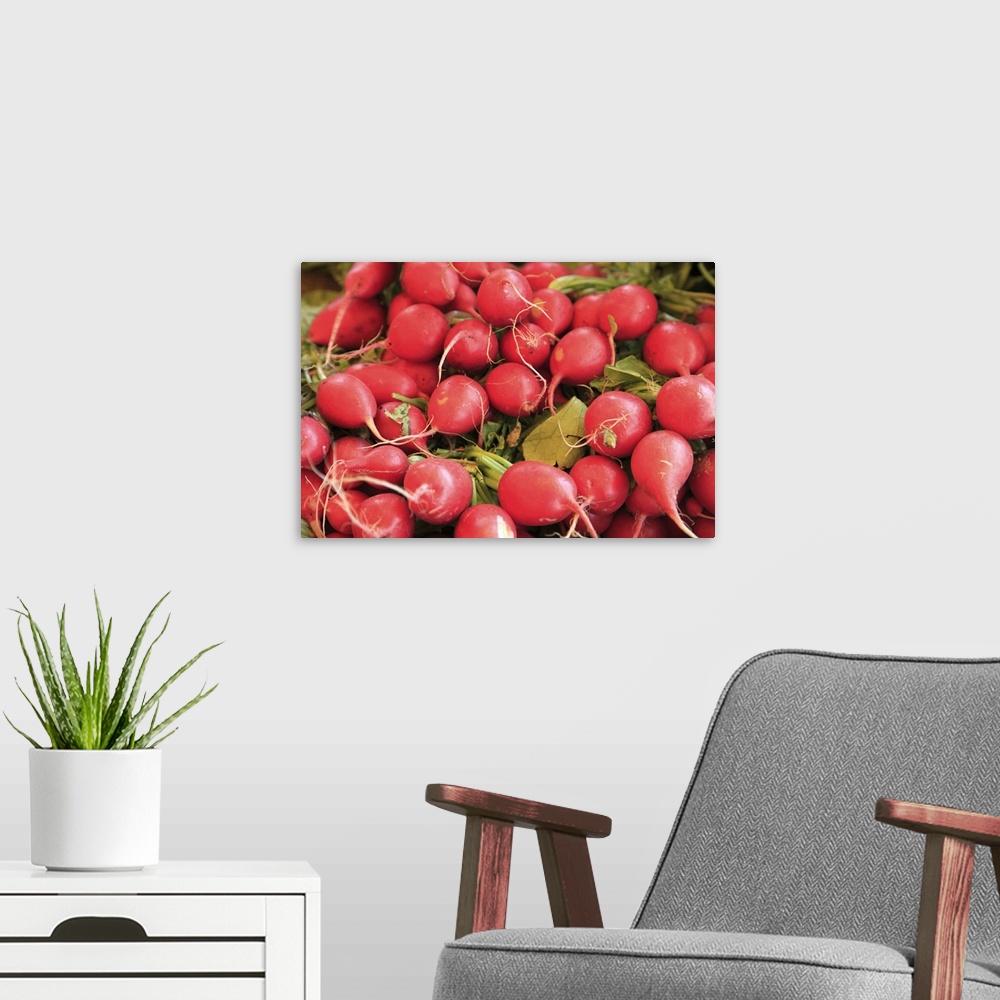 A modern room featuring Radishes at Farm Stand