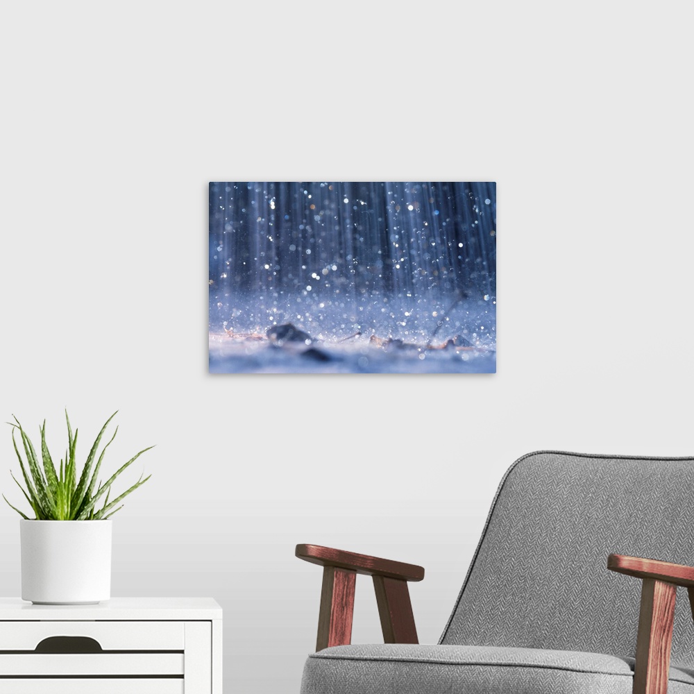 A modern room featuring This nature photograph was taken with a high shutter speed to capture the individual droplets of ...