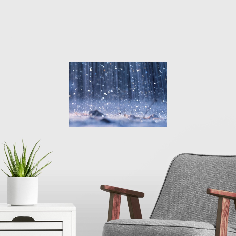 A modern room featuring This nature photograph was taken with a high shutter speed to capture the individual droplets of ...