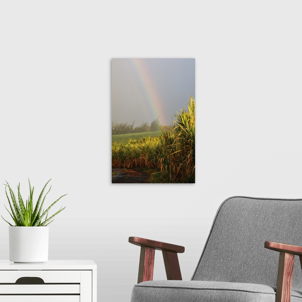 A modern room featuring Rainbow arching into field behind stream