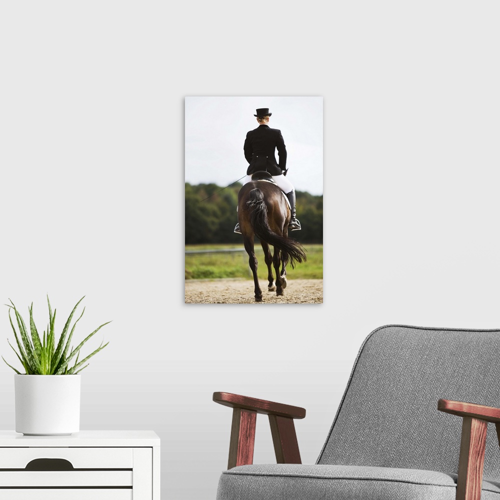 A modern room featuring Rear view of female dressage rider exercising