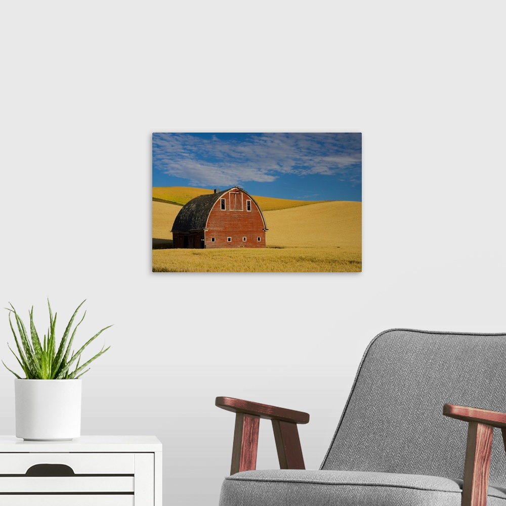 A modern room featuring Red Barn In Wheat Field