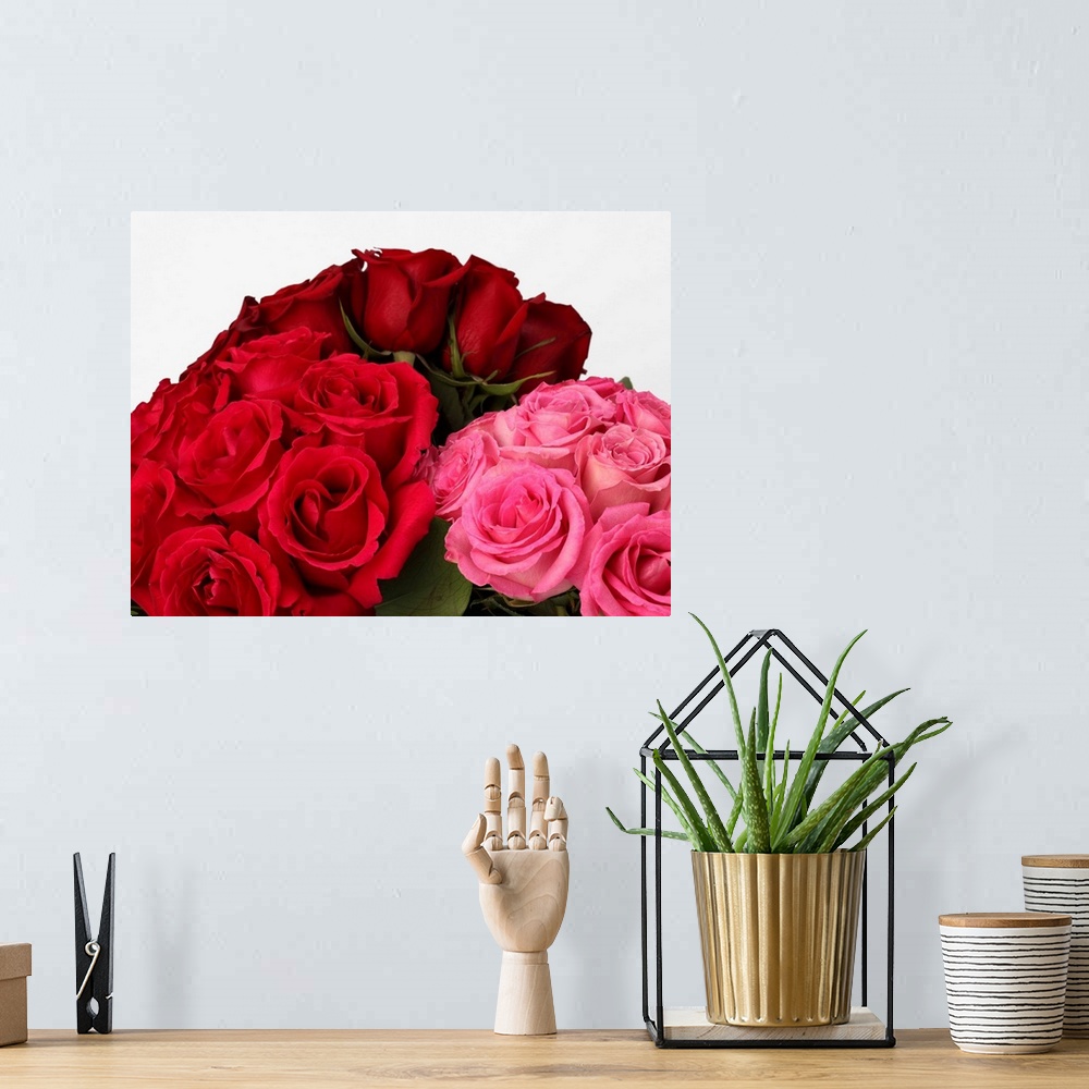 A bohemian room featuring Red, deep red and pink roses