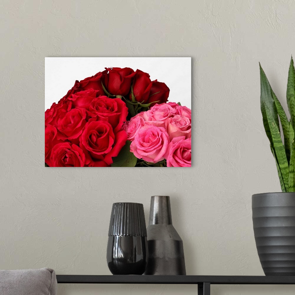 A modern room featuring Red, deep red and pink roses