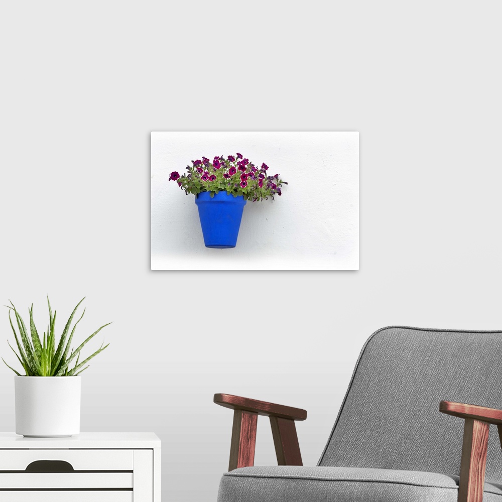 A modern room featuring Red flowers in blue vase, on whitewhashed wall, Cordoba, Andalusia.