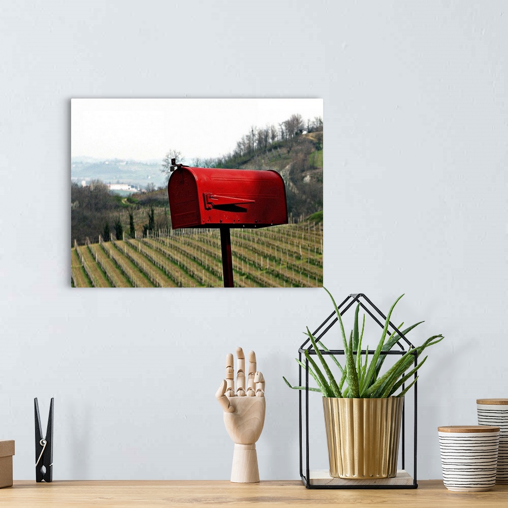 A bohemian room featuring A red mail box on the background of a vineyard in Piedmont, Italy.